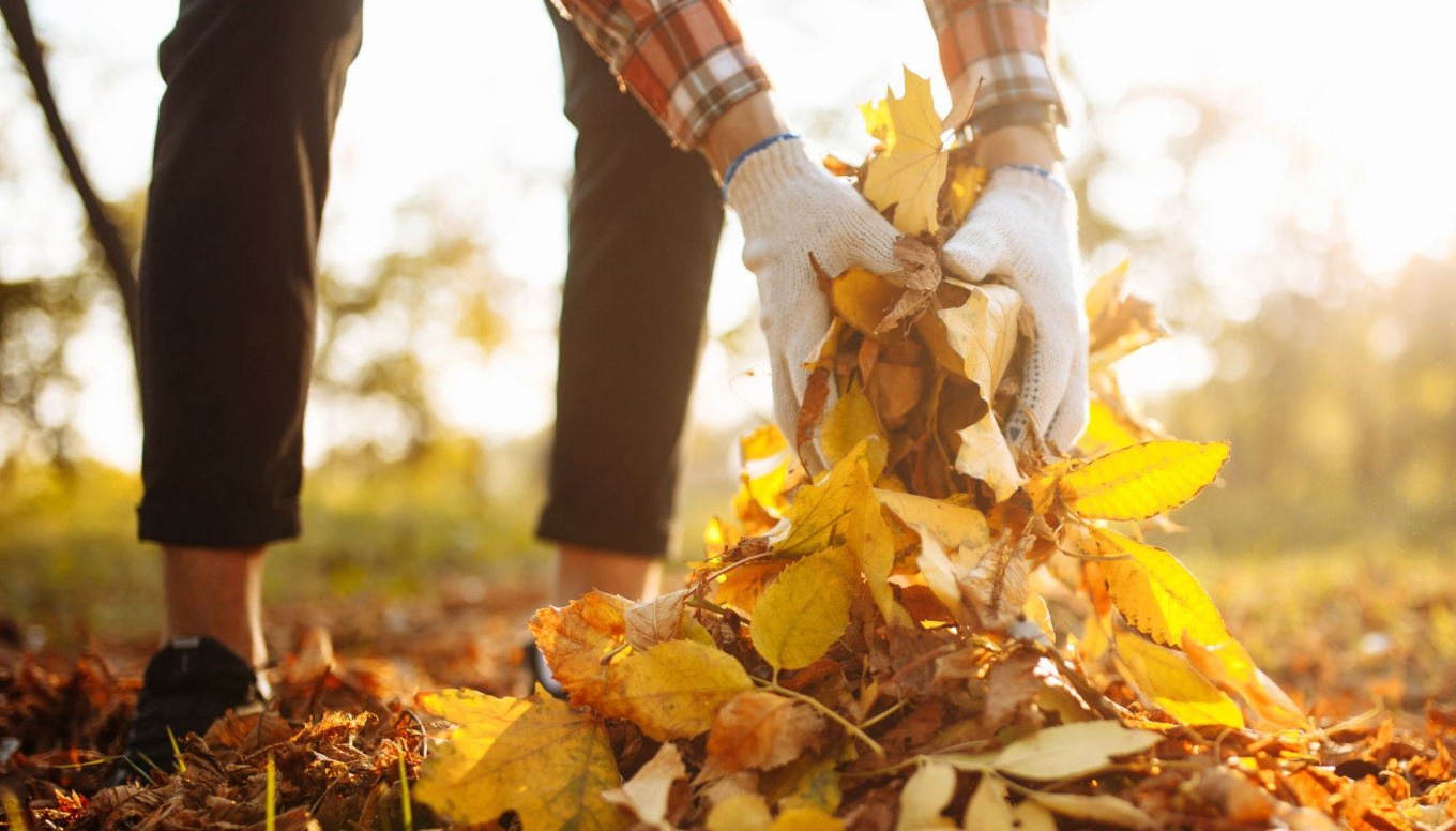 Pulizie d’autunno e conservazione degli attrezzi da giardinaggio