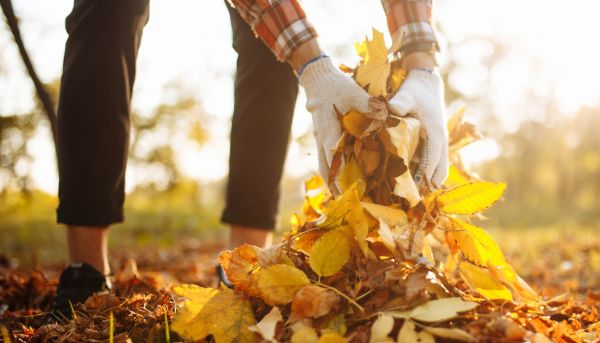 autumn cleaning and storage of garden tools